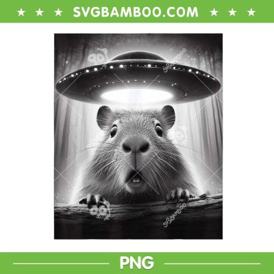 Capybara Selfie With UFOs PNG, Funny Alien Selfie PNG, Retro Alien Saucer PNG Capybara Selfie With UFOs PNG, Funny Alien Selfie PNG, Retro Alien Saucer PNG