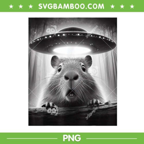 Capybara Selfie With UFOs PNG, Funny Alien Selfie PNG, Retro Alien Saucer PNG