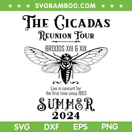 Cicada 2024 SVG PNG, Cicada Concert SVG, The Cicada Reunion Tour DXF SVG PNG EPS
