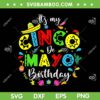 It's My Cinco De Mayo Birthday SVG PNG, Funny Mexico Party SVG, Cinco De Mayo Party DXF SVG PNG EPS It's My Cinco De Mayo Birthday SVG PNG, Funny Mexico Party SVG, Cinco De Mayo Party DXF SVG PNG EPS