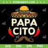 Papacito Cinco De Mayo SVG PNG, Dad Fiesta Mexican SVG, Funny Fathers Day DXF SVG PNG EPS