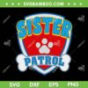 Sister Of The Birthday Boy SVG PNG, Girl Dog Paw Family SVG, Sister Patrol DXF SVG PNG EPS