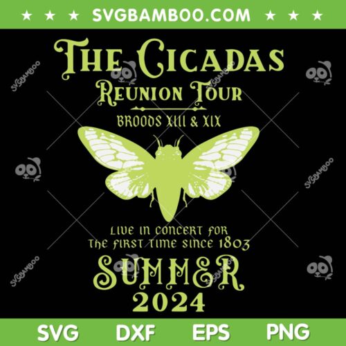 The Cicada Reunion Tour 2024 SVG, Cicada Summer Concert SVG PNG, The Cicada Band DXF SVG PNG EPS
