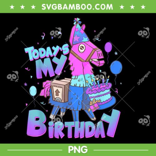 Today's My Birthday Llama Birthday Boy PNG, Youth Llama Birthday Decor PNG, Llama Party PNG