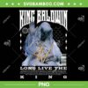BACKPRINT King Baldwin IV PNG, Long Live The King PNG, King Baldwin IV Mask PNG