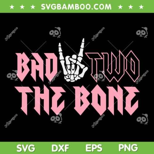 Bad Two The Bone SVG PNG, Birthday 2 Years Old SVG, Second Birthday DXF SVG PNG EPS