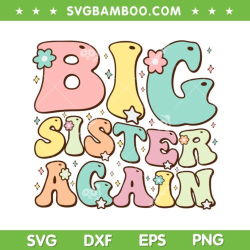 Big Sister Again SVG PNG, Groovy Girls Big Sister SVG, Promoted To Big Sister DXF SVG PNG EPS
