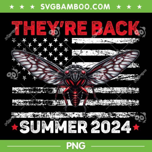 Cicada Come Back Tour 2024 PNG, Cicada They're Back Summer 2024 PNG, Cicada Concert Tour 2024 PNG
