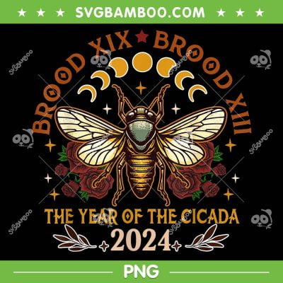 Cicada Lover Brood Tour PNG, Cicadas XIX Brood XIII 2024 PNG, The Cicadas Reunion Tour PNG