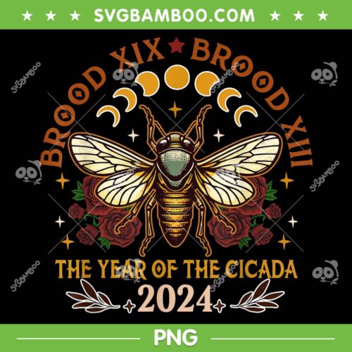 Cicada Lover Brood Tour PNG, Cicadas XIX Brood XIII 2024 PNG, The Cicadas Reunion Tour PNG