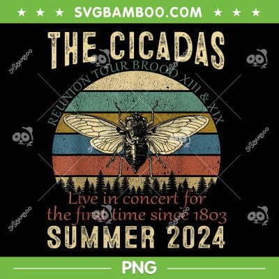 Cicada Tour 2024 PNG, Cicadas Brood XIII XIX Summer 2024 PNG, Reunion Tour PNG Cicada Tour 2024 PNG, Cicadas Brood XIII XIX Summer 2024 PNG, Reunion Tour PNG