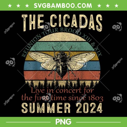 Cicada Tour 2024 PNG, Cicadas Brood XIII XIX Summer 2024 PNG, Reunion Tour PNG