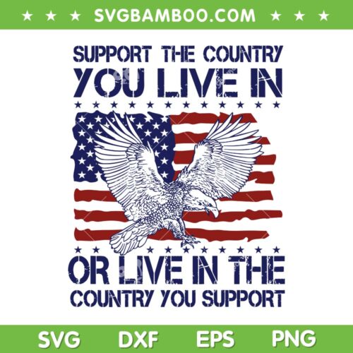 Support The Country You Live In SVG, Live In The Country You Support SVG, USA Flag Eagle DXF SVG PNG EPS