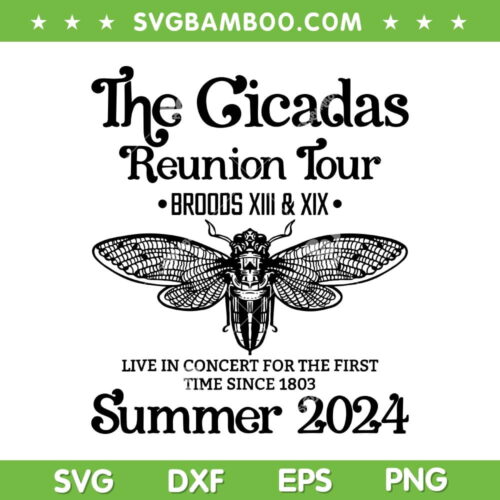 The Cicada Reunion US Tour 2024 SVG, Cicada Concert Fest Lover SVG, Cicada Summer Tour 2024 DXF SVG PNG EPS &nbsp;&nbsp; &nbsp;