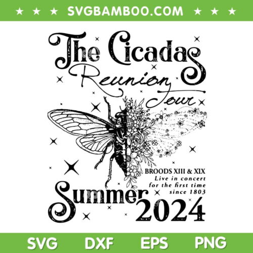 The Cicadas Reunion Tour Summer 2024 SVG, Cicada Nature Lover SVG, Summer Tour 2024 DXF SVG PNG EPS