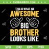 This Is What An Awesome Big Brother Looks Like SVG, Big Brother Saying SVG, Funny Quote DXF SVG PNG EPS This Is What An Awesome Big Brother Looks Like SVG, Big Brother Saying SVG, Funny Quote DXF SVG PNG EPS
