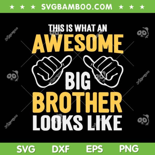 This Is What An Awesome Big Brother Looks Like SVG, Big Brother Saying SVG, Funny Quote DXF SVG PNG EPS