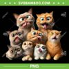 Funny Cat Art PNG, Cats Funny Emotion PNG, Cute Cats Face Emotions PNG