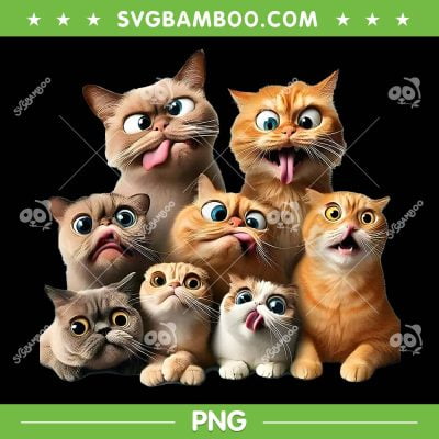 Funny Cat Art PNG, Cats Funny Emotion PNG, Cute Cats Face Emotions PNG