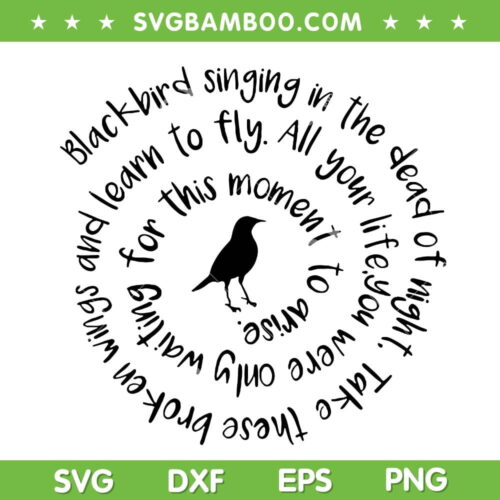 Blackbird Singing In The Dead Of Night SVG, Take These Broken Wings And Learn To Fly SVG PNG