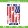 Free Indeed John 8 36 SVG PNG, Christian Bible 4th Of July Patriotic SVG, Retro USA Flag DXF SVG PNG EPS Free Indeed John 8 36 SVG PNG, Christian Bible 4th Of July Patriotic SVG, Retro USA Flag DXF SVG PNG EPS