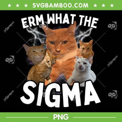 Funny Erm What The Sigma PNG, Ironic Meme PNG, Brainrot Quote PNG