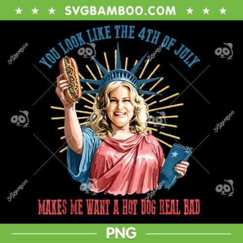 You Look Like The 4th Of July Hot Dog Wiener PNG, Funny Independence Day PNG