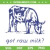 Got Raw Milk SVG PNG, Dairy Cow SVG, Funny Raw Milk DXF SVG PNG EPS Got Raw Milk SVG PNG, Dairy Cow SVG, Funny Raw Milk DXF SVG PNG EPS