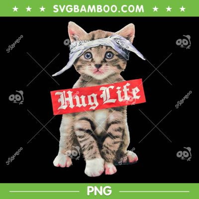 Hug Life Kitty Cat PNG, Hug Kitten PNG, Cute Cat Hug PNG Hug Life Kitty Cat PNG, Hug Kitten PNG, Cute Cat Hug PNG