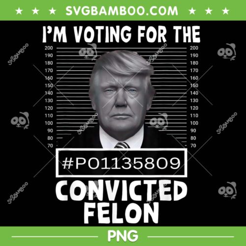 I'm Voting For The Convicted Felon PNG, Trump Mugshot 2024 PNG, Pro Trump Guilty PNG