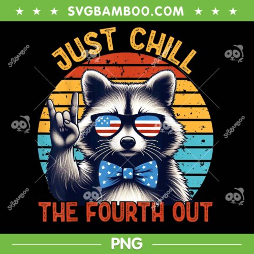 Just Chill The Fourth Out PNG, Raccoon 4th Of July PNG, Retro Vintage Raccoon Quote PNG