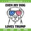 Even My Dog Loves Trump SVG PNG, Labrador Dog Sunglasses USA Flag SVG, Dog 4th Of July DXF SVG PNG EPS