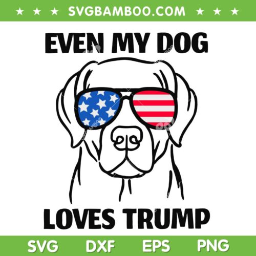Even My Dog Loves Trump SVG PNG, Labrador Dog Sunglasses USA Flag SVG, Dog 4th Of July DXF SVG PNG EPS