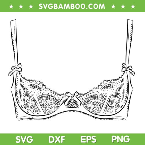 Lingerie Bra Graphic SVG PNG, Sexy Bra SVG, Funny Bra Lingerie DXF SVG PNG EPS