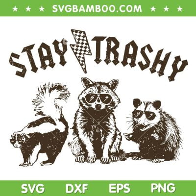Raccoon Stay Trashy SVG PNG, Raccoons Opossums Squad SVG, Funny Meme DXF SVG PNG EPS