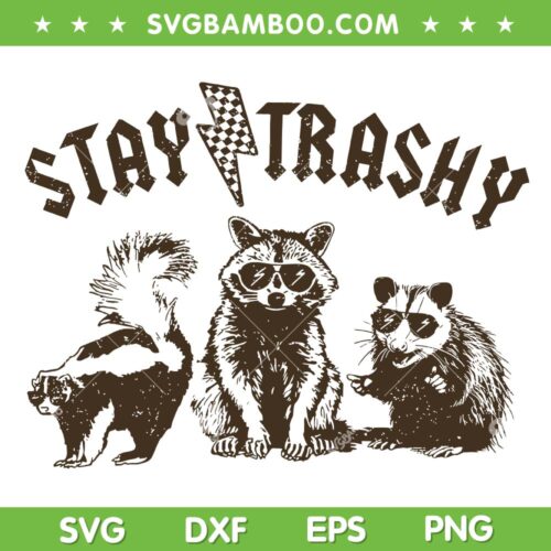 Raccoon Stay Trashy SVG PNG, Raccoons Opossums Squad SVG, Funny Meme DXF SVG PNG EPS