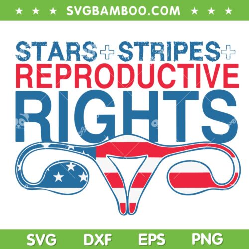 Stars Stripes And Reproductive Rights SVG, Womens Reproductive 4th of July SVG PNG