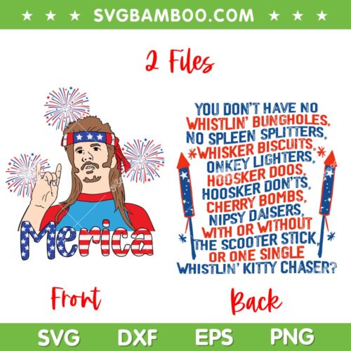 You Don't Have No Whistling Bungholes SVG, Joe Dirt 4th Of July SVG, 2 Files Merica DXF SVG PNG EPS