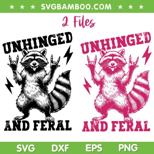 Unhinged and Feral SVG PNG, Funny Raccoon Feral Summer SVG, Raccoon Rock Hand DXF SVG PNG EPS