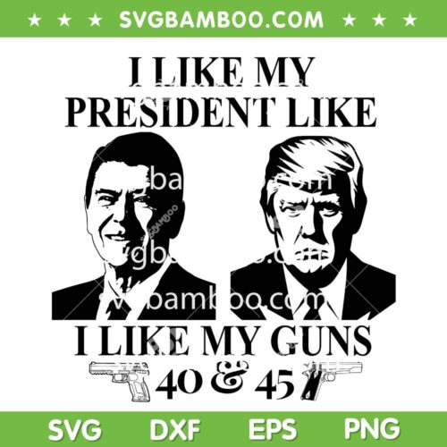 I Like President Like I Like My Guns 40 45 SVG, Reagan And Trump Black and White SVG PNG