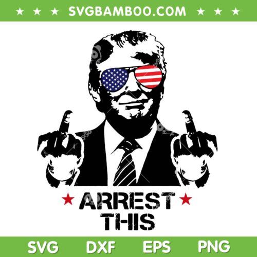 Trump Arrest This SVG, Trump Sunglasses America Flag SVG PNG, Donald Trump 2024 SVG