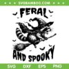 Feral and Spooky SVG, Funny Raccoon Witch Broom SVG, Raccoons Opossums Halloween Witches DXF SVG PNG EPS Feral and Spooky SVG, Funny Raccoon Witch Broom SVG, Raccoons Opossums Halloween Witches DXF SVG PNG EPS