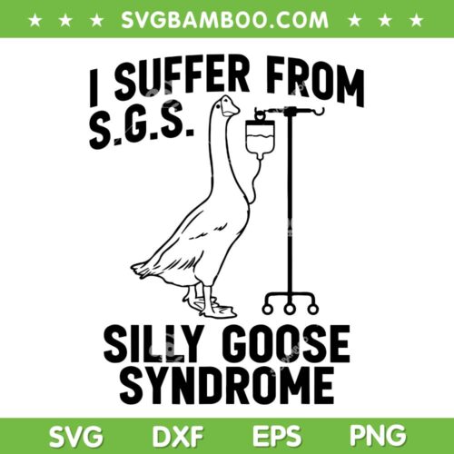 Silly Goose Syndrome SVG PNG, Funny I Surfer From SGS Silly Goose Syndrome SVG