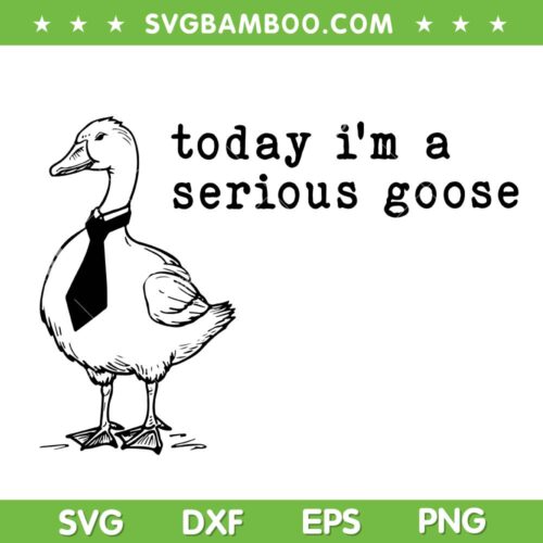 Today I'm a Serious Goose SVG PNG, Goose Comfort Colors Funny SVG