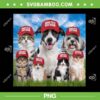Make Pets Safe Again PNG, Donald Trump Democratic Republican PNG, Funny Trump Dogs Cats Red Hat PNG Make Pets Safe Again PNG, Donald Trump Democratic Republican PNG, Funny Trump Dogs Cats Red Hat PNG