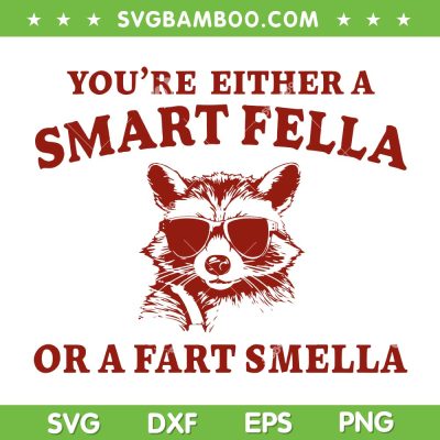 You're Either A Smart Fella SVG PNG, Funny Raccoon A Fart Smella SVG, Are You A Smart Fella DXF SVG PNG EPS