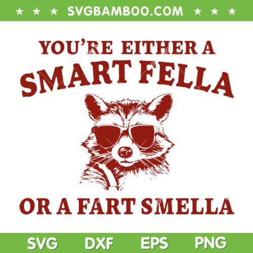 You're Either A Smart Fella SVG PNG, Funny Raccoon A Fart Smella SVG, Are You A Smart Fella DXF SVG PNG EPS
