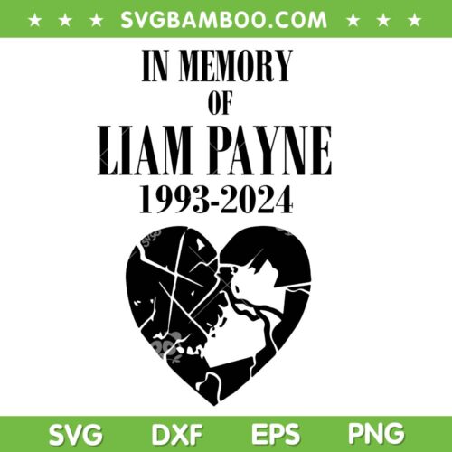 In Memory Of Liam Payne SVG PNG, Rip Liam Payne 2024 SVG, One Direction Liam Payne SVG PNG