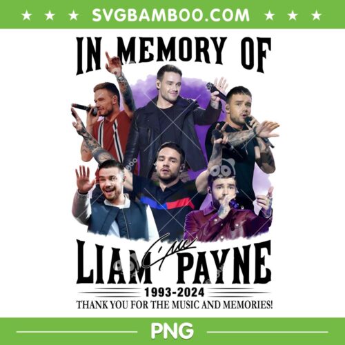 Liam Payne 1993 2024 PNG, In Memory of Liam Payne PNG, Rest In Peace Liam PNG