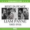 Rest In Peace Liam Payne 1993 2024 PNG, Liam Payne With Signature PNG